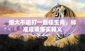 细大不逾打一最佳生肖，标准成语落实释义