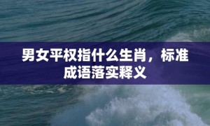 男女平权指什么生肖，标准成语落实释义