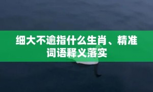 细大不逾指什么生肖、精准词语释义落实