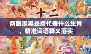 两眼墨黑是指代表什么生肖、精准词语释义落实