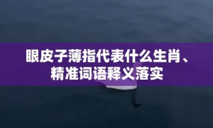 眼皮子薄指代表什么生肖、精准词语释义落实