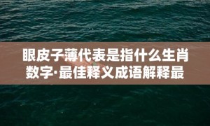 眼皮子薄代表是指什么生肖数字·最佳释义成语解释最佳答