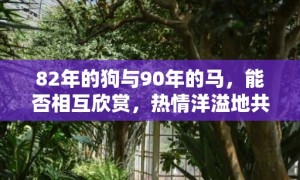 82年的狗与90年的马，能否相互欣赏，热情洋溢地共度人生？