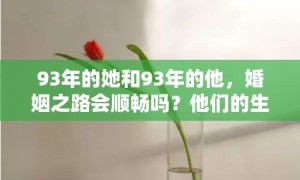 93年的她和93年的他，婚姻之路会顺畅吗？他们的生活中，是否充满了争吵与分歧？