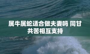 属牛属蛇适合做夫妻吗 同甘共苦相互支持