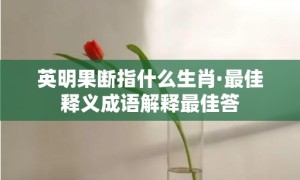 英明果断指什么生肖·最佳释义成语解释最佳答