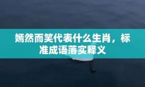 嫣然而笑代表什么生肖，标准成语落实释义