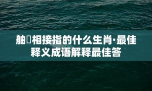 舳舮相接指的什么生肖·最佳释义成语解释最佳答