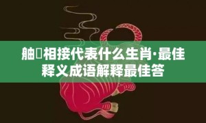 舳舮相接代表什么生肖·最佳释义成语解释最佳答