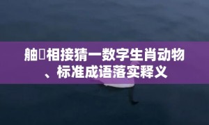 舳舮相接猜一数字生肖动物、标准成语落实释义