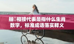 舳舮相接代表是指什么生肖数字，标准成语落实释义