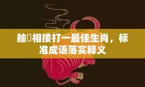 舳舮相接打一最佳生肖，标准成语落实释义