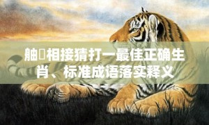 舳舮相接猜打一最佳正确生肖、标准成语落实释义