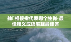 舳舮相接指代表哪个生肖·最佳释义成语解释最佳答