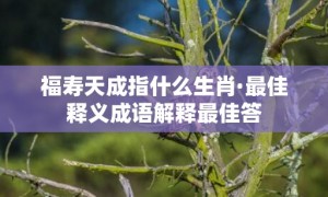 福寿天成指什么生肖·最佳释义成语解释最佳答