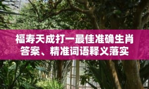 福寿天成打一最佳准确生肖答案、精准词语释义落实