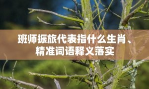 班师振旅代表指什么生肖、精准词语释义落实