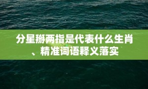 分星掰两指是代表什么生肖、精准词语释义落实