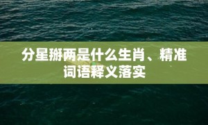 分星掰两是什么生肖、精准词语释义落实