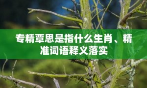 专精覃思是指什么生肖、精准词语释义落实