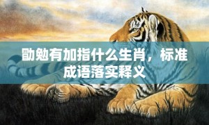 勖勉有加指什么生肖，标准成语落实释义