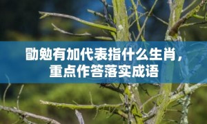 勖勉有加代表指什么生肖，重点作答落实成语