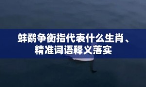 蚌鹬争衡指代表什么生肖、精准词语释义落实