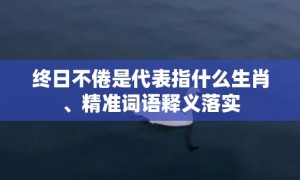 终日不倦是代表指什么生肖、精准词语释义落实