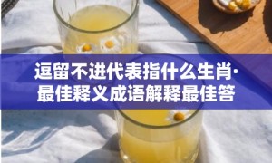 逗留不进代表指什么生肖·最佳释义成语解释最佳答