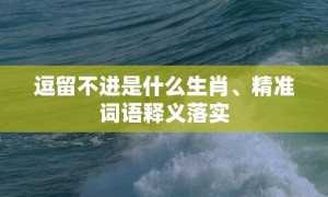 逗留不进是什么生肖、精准词语释义落实