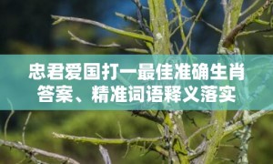 忠君爱国打一最佳准确生肖答案、精准词语释义落实