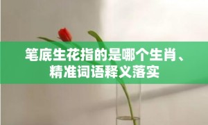 笔底生花指的是哪个生肖、精准词语释义落实