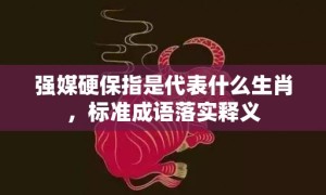 强媒硬保指是代表什么生肖，标准成语落实释义