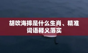 胡吹海摔是什么生肖、精准词语释义落实