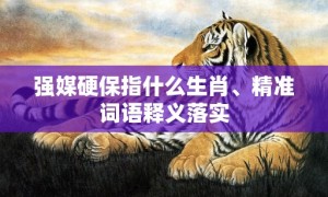 强媒硬保指什么生肖、精准词语释义落实