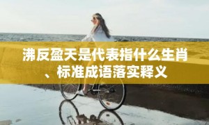 沸反盈天是代表指什么生肖、标准成语落实释义