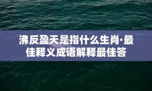 沸反盈天是指什么生肖·最佳释义成语解释最佳答