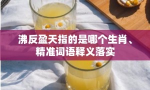 沸反盈天指的是哪个生肖、精准词语释义落实