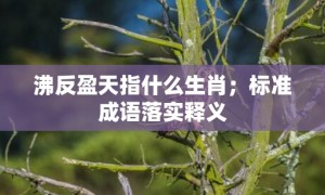 沸反盈天指什么生肖；标准成语落实释义