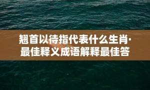 翘首以待指代表什么生肖·最佳释义成语解释最佳答