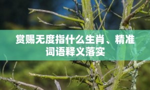 赏赐无度指什么生肖、精准词语释义落实