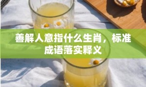 善解人意指什么生肖，标准成语落实释义