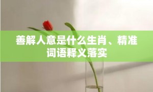 善解人意是什么生肖、精准词语释义落实