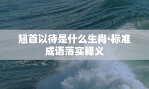 翘首以待是什么生肖·标准成语落实释义