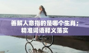 善解人意指的是哪个生肖；精准词语释义落实