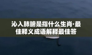 沁入肺腑是指什么生肖·最佳释义成语解释最佳答