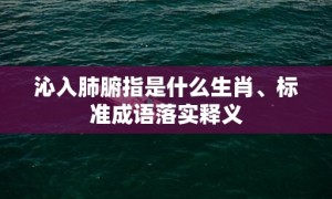 沁入肺腑指是什么生肖、标准成语落实释义