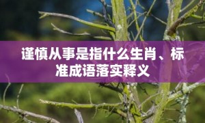 谨慎从事是指什么生肖、标准成语落实释义