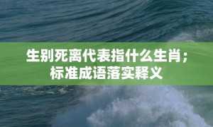 生别死离代表指什么生肖；标准成语落实释义