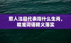 惹人注目代表指什么生肖，精准词语释义落实